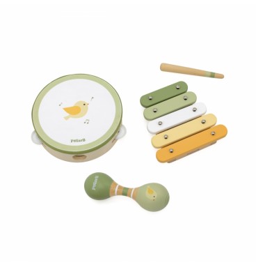 VIGA PolarB muzikos instrumentų rinkinys su paukščiu