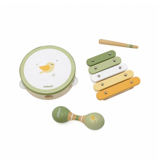 VIGA PolarB muzikos instrumentų rinkinys su paukščiu