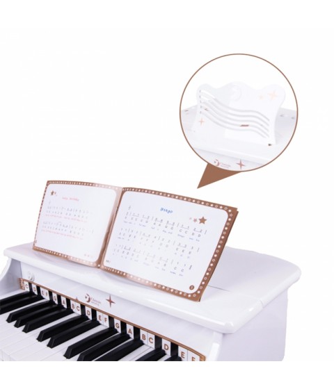 Didelis vaikiškas pianinas su kėde ir mokymosi knyga „Classic World“