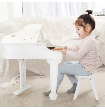 Didelis vaikiškas pianinas su kėde ir mokymosi knyga „Classic World“