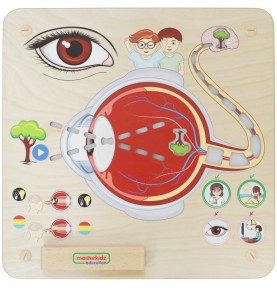 MASTERKIDZ Montessori regos pojūčių ugdymo lenta