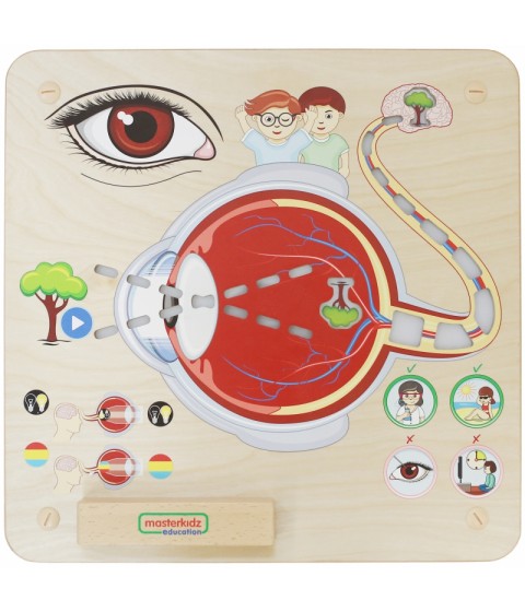MASTERKIDZ Montessori regos pojūčių ugdymo lenta