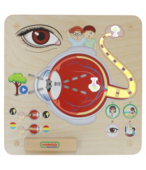 MASTERKIDZ Montessori regos pojūčių ugdymo lenta