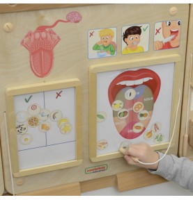 MASTERKIDZ Montessori skonio pojūčio ugdymo taryba