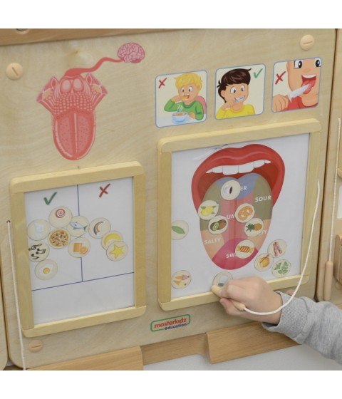 MASTERKIDZ Montessori skonio pojūčio ugdymo taryba