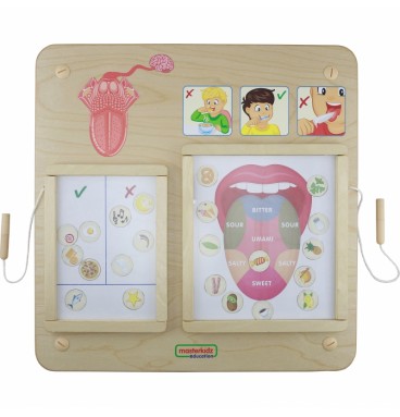 MASTERKIDZ Montessori skonio pojūčio ugdymo taryba