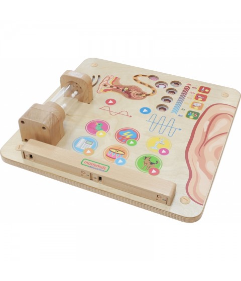 MASTERKIDZ Montessori klausos ugdymo taryba
