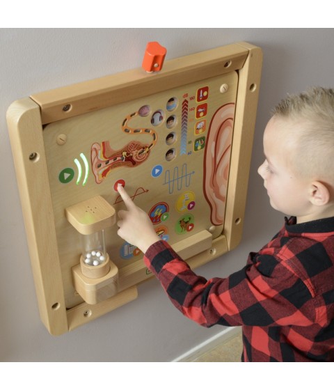 MASTERKIDZ Montessori klausos ugdymo taryba