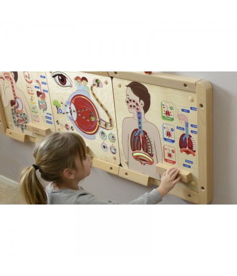 MASTERKIDZ Montessori kvėpavimo sistemos ugdymo taryba