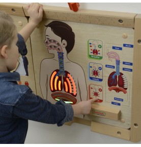 MASTERKIDZ Montessori kvėpavimo sistemos ugdymo taryba