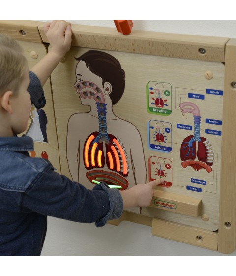 MASTERKIDZ Montessori kvėpavimo sistemos ugdymo taryba