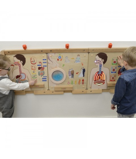 MASTERKIDZ Montessori kvėpavimo sistemos ugdymo taryba
